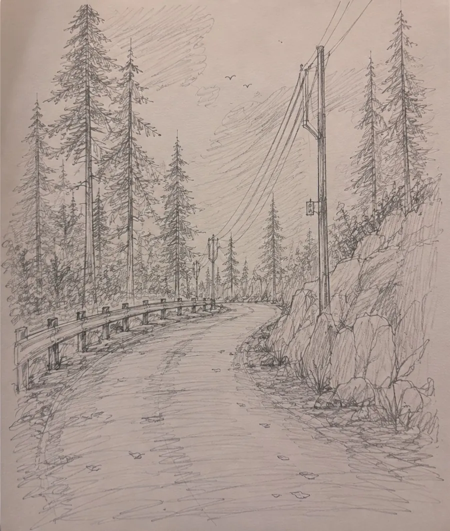Pencil sketch 5
